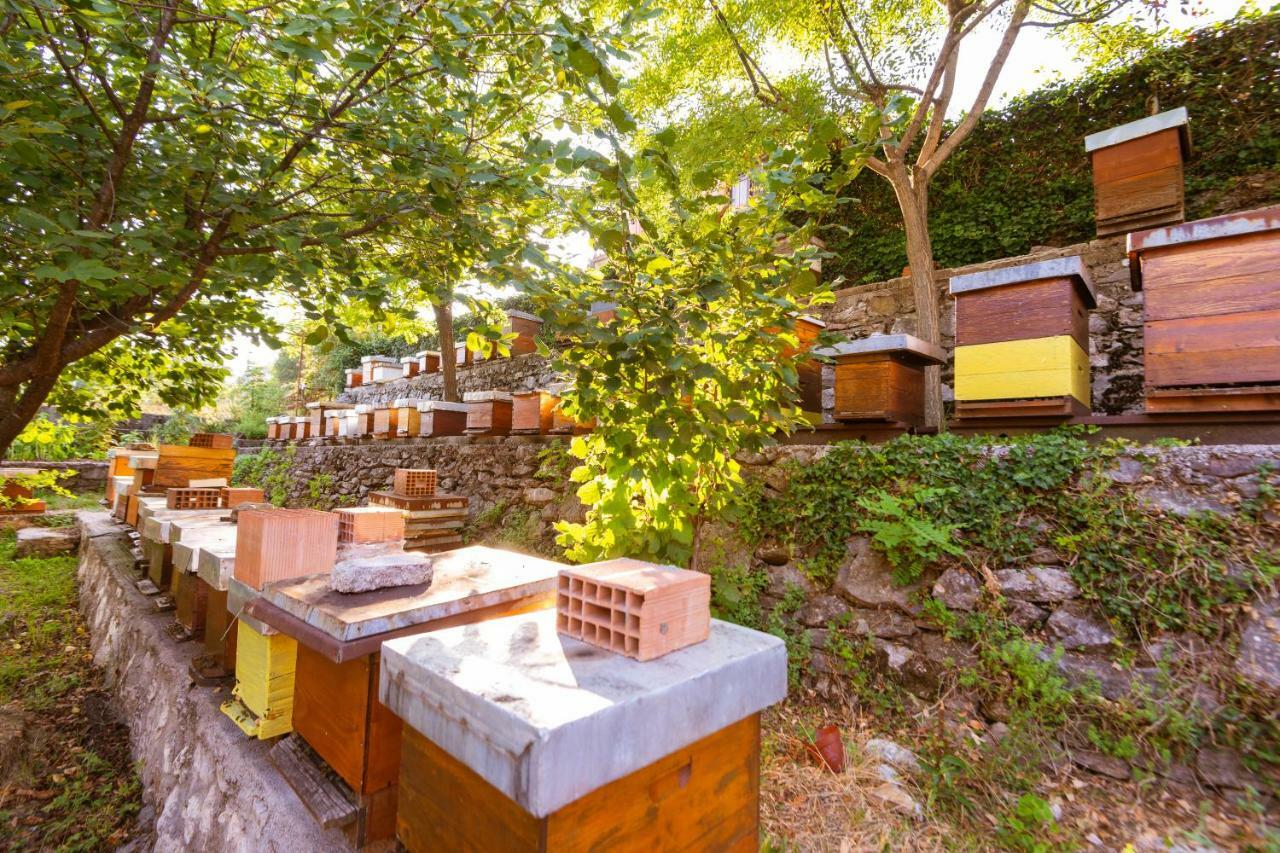 Honey Farm House Вирпазар Экстерьер фото
